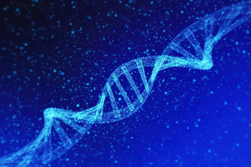 A 3D illustration of a strand of DNA (stock photo).